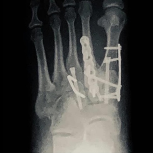 Meet your Posher, Lily - Picture 14 of 15